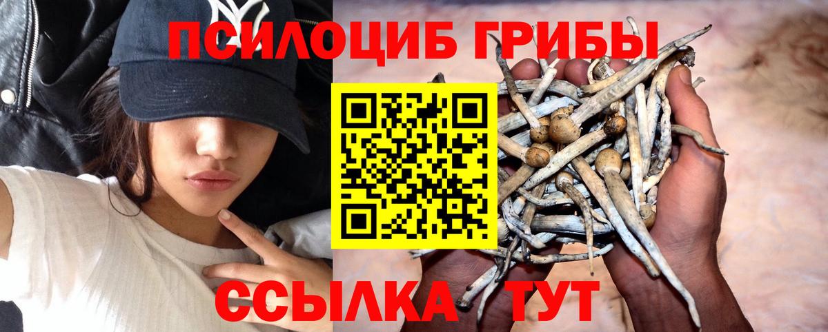 Псилоцибиновые грибы GOLDEN TEACHER  Вход с VPN  Воронеж 
